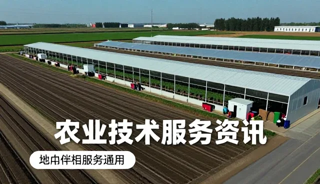 基地合作让门店展厅管理更加高效
